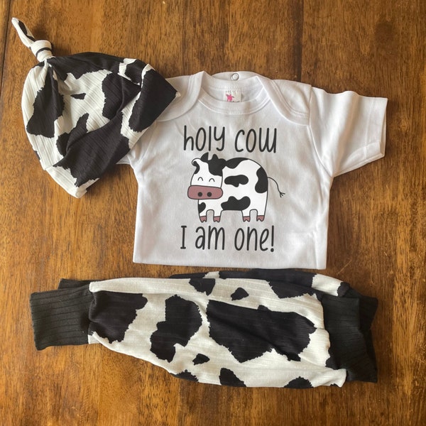 Holy Cow I am one! First birthday outfit, cow birthday party, new to the herd, cow baby outfit, first birthday party ideas