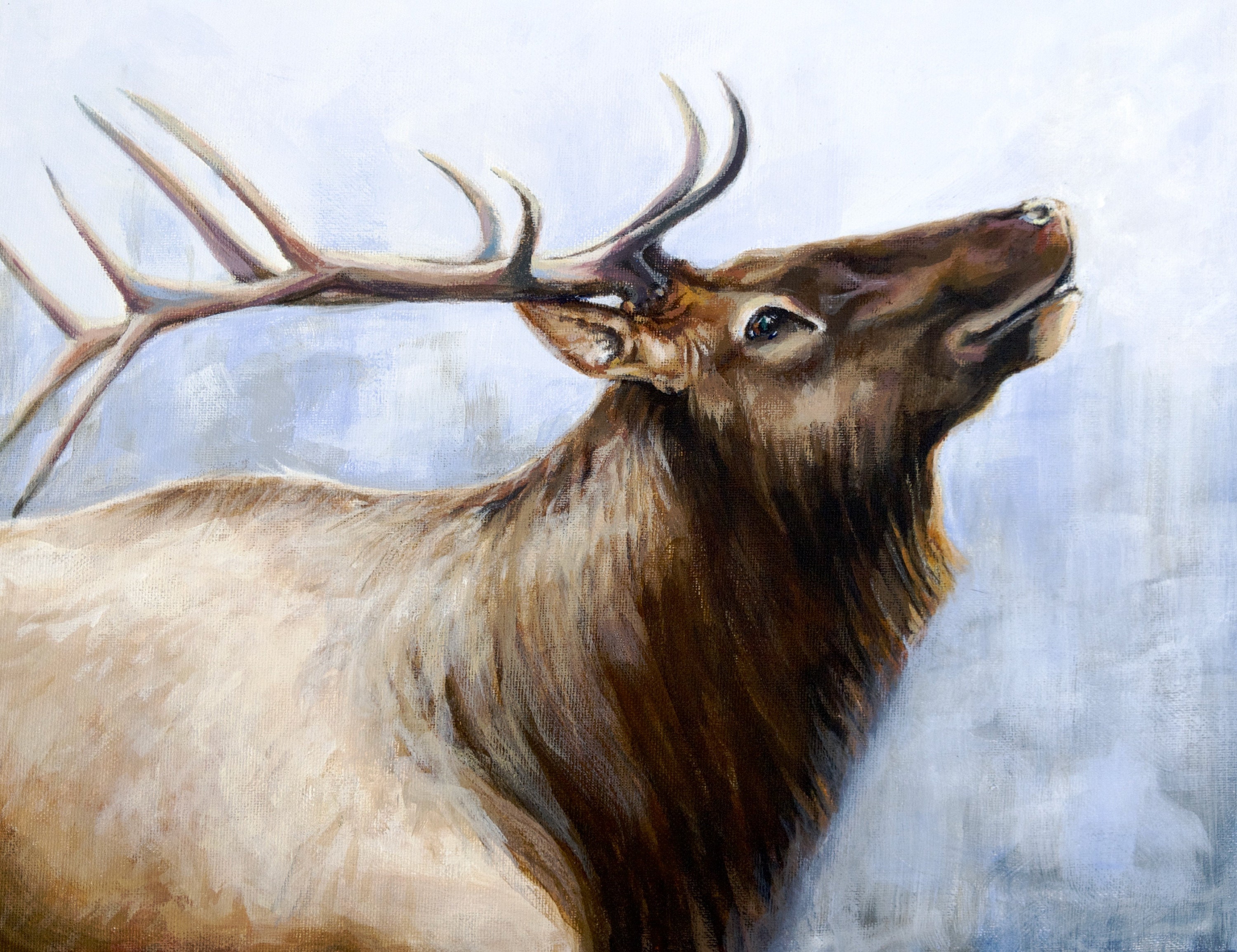 Elk Fine Art Print Print of Original Painting Etsy
