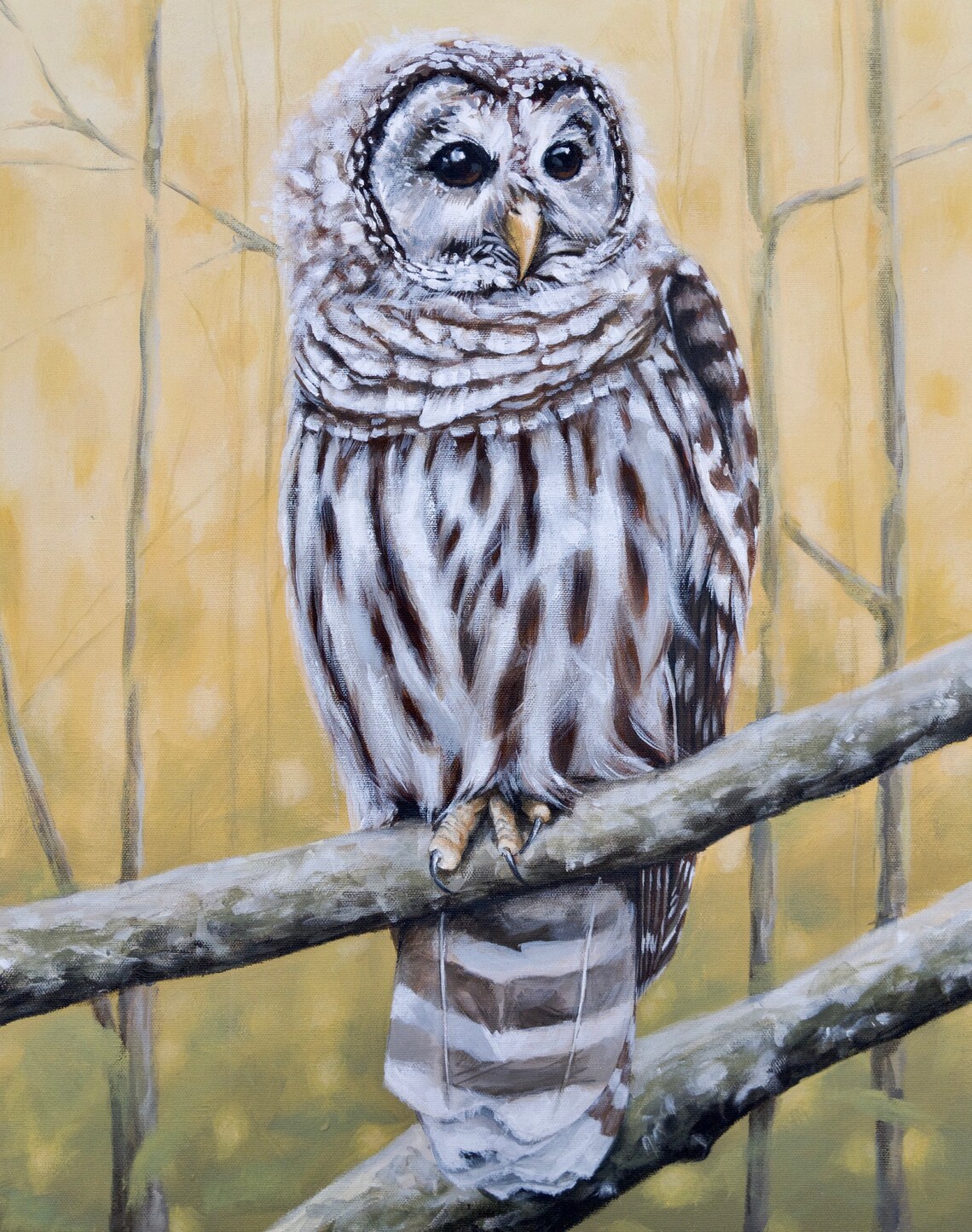 Barred Owl Fine Art Print Print of Original Painting Etsy