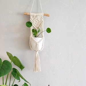 Könnte beinhalten: Ein weißer Makramee-Pflanzenhänger mit einer kleinen Topfpflanze, die daran hängt. Der Pflanzenhänger ist aus Baumwollschnur gefertigt und hat oben einen Holzstab. Die Pflanze ist eine kleine grüne Pflanze mit runden Blättern.