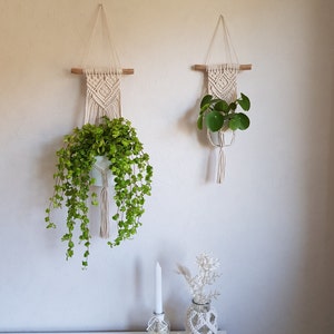 Cintre de plantes en macramé de style boho / hippie, panier suspendu, idée cadeau, tenture murale de plantes d'intérieur