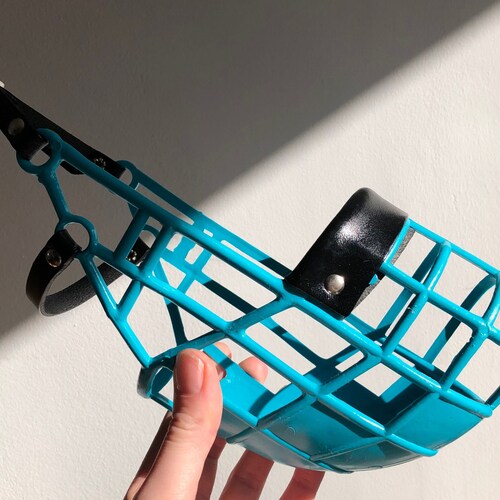 greyhound wire muzzle