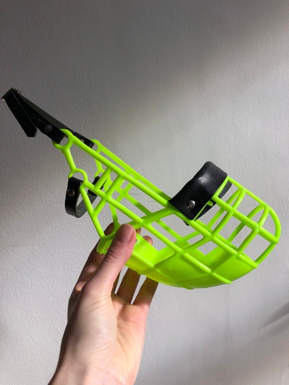 Box muzzle 2024