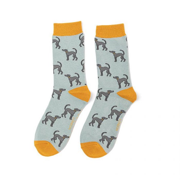 Womens Greyhound bamboo Socks - Duck egg