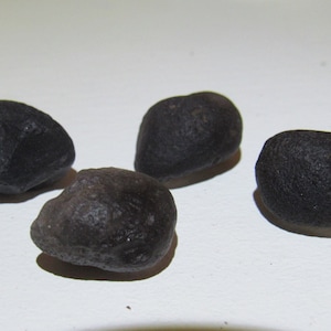 4- 3 gram Saffordite (Cinta Mani) Protection Stones. Translucent, Banded, Cloudy Variety. High Vibrational Healing Stones. 12.1 grams Total