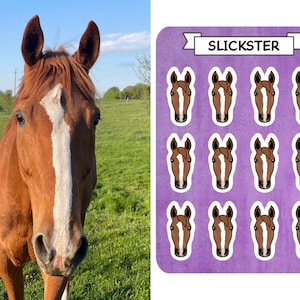 Custom Horse Sticker Sheet, Gift for Equestrian, Horse Gift, Gift for Horse Lover, Waterproof Sticker, Vinyl Decal, Horse Planner Stickers