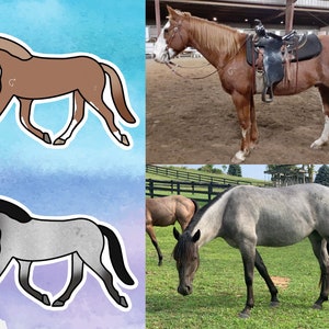Custom Horse Sticker, Horse Gift, Horse Decal, Gift for Horse Lover, Vinyl Horse, Gift for Equestrian, Horse Gift, Personalized Horse, Pony