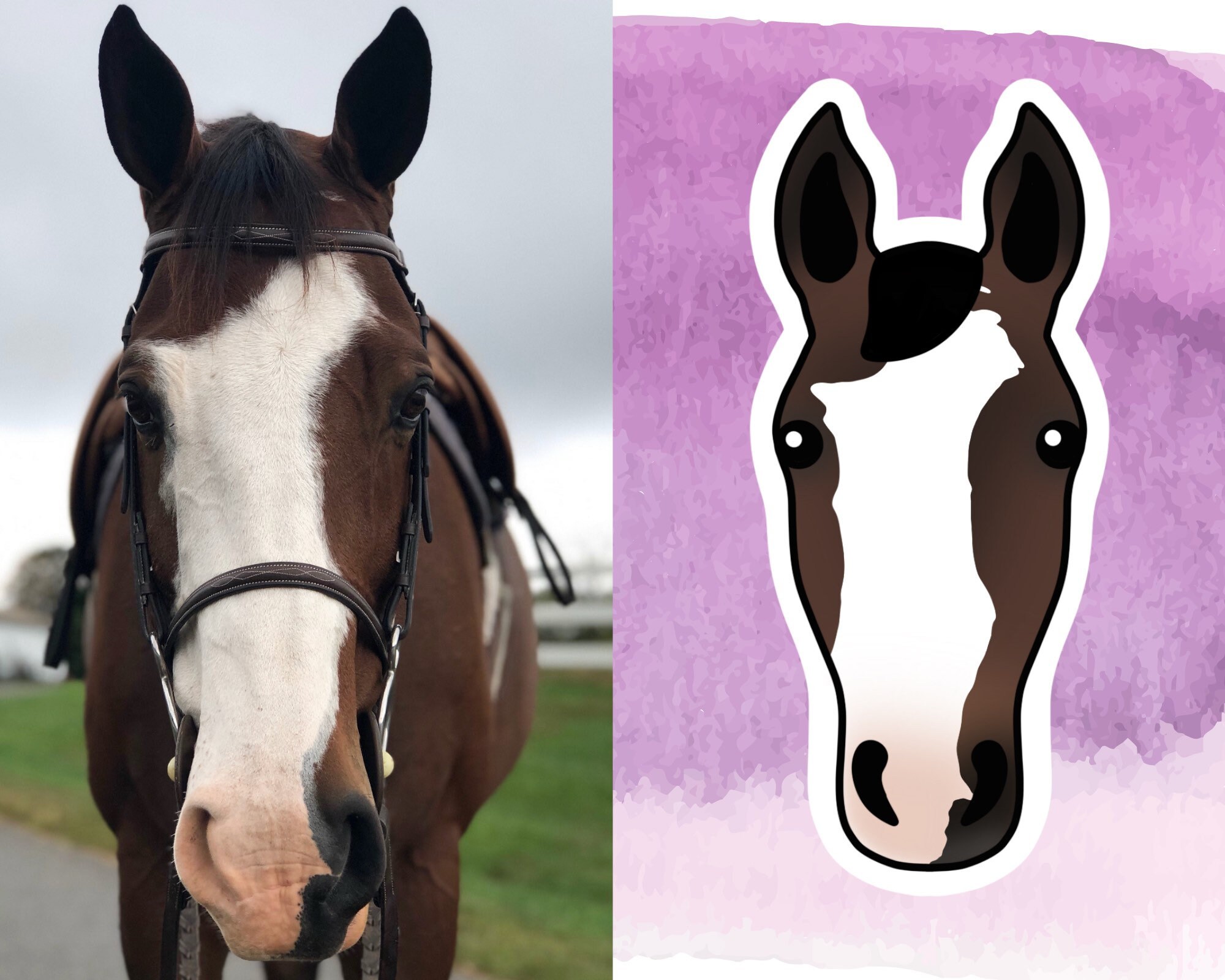 Custom Horse Sticker Vinyl Horse Gift for Equestrian Horse Etsy UK
