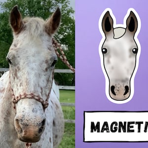Custom Horse Head Magnet, Horse Gift, Horse Art, Gift for Horse Lover, Custom Horse Magnet, Horse Magnet, Equine Magnet, Custom Horse Gift