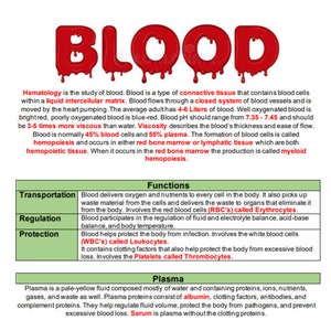 May include: An educational diagram about blood, featuring the title "BLOOD" in large, red, dripping letters. The image includes text explaining hematology, blood functions, plasma, and hematocrit, with highlighted terms and definitions.