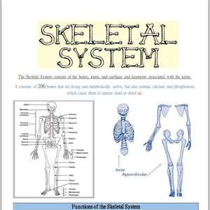 May include: A diagram of the human skeletal system with labels for each bone. The diagram shows the axial and appendicular skeletons. The text below the diagram describes the functions of the skeletal system, including support, protection, movement, mineral storage, and blood cell production.