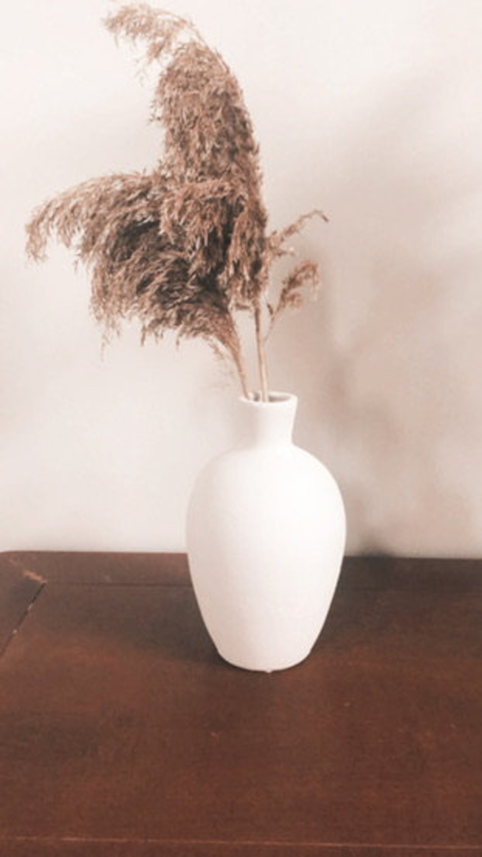 Pampas Grass with Terracotta Vase Etsy