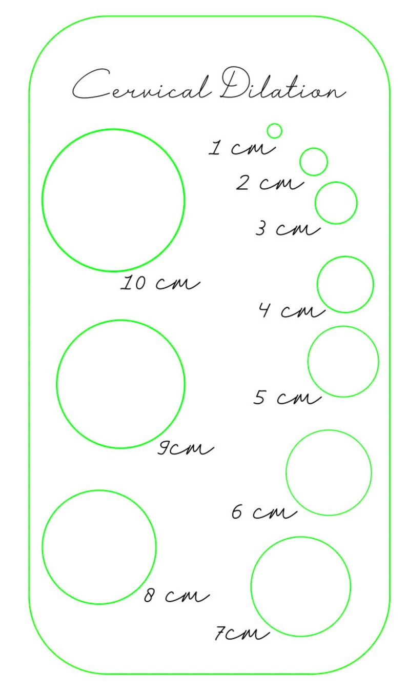Laser Cut Cervical Dilation Size Chart for Birth Education Etsy UK