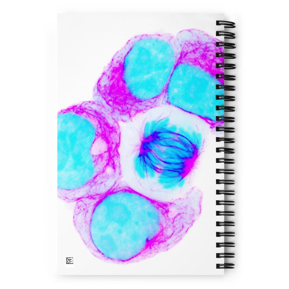 Biologist Notebook Spiral Notebook (biologist, Lab Notebook, Cell Division, Biology Phd ...