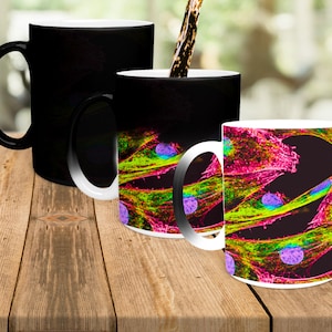 Molecular Cell Biology Mug, Biologist Gift, PhD Student, Postdoc, New PI, Professor, Graduation Present, Cells, CellBio, Microscopy Cup