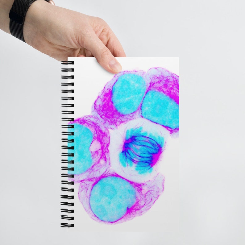 Biologist Notebook Spiral Notebook (biologist, Lab Notebook, Cell Division, Biology Phd ...