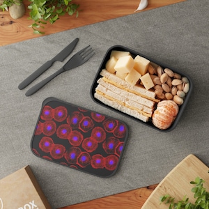 Food Box with Band and Utensils (Molecular Biology, Cell Biology, Microscopy, DNA, STEM, Gift, Teacher, Postdoc, PhD, PI, Lunch Break)
