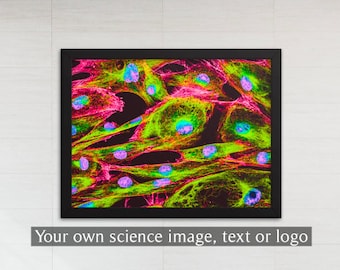 Personalized Framed Print (Biochemistry, Molecular Biology, Cell Biology, Microscopy, The Lab Edit, Graduation Gift, Postdoc, PhD, New PI)