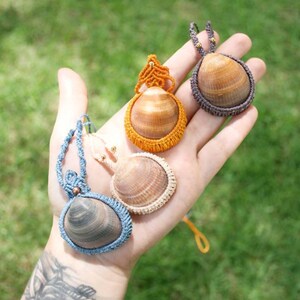 Peut inclure: Quatre colliers en coquillages avec cordon en macramé de différentes couleurs. Les coquillages sont de formes et de tailles différentes. Les colliers sont tous suspendus à une main.