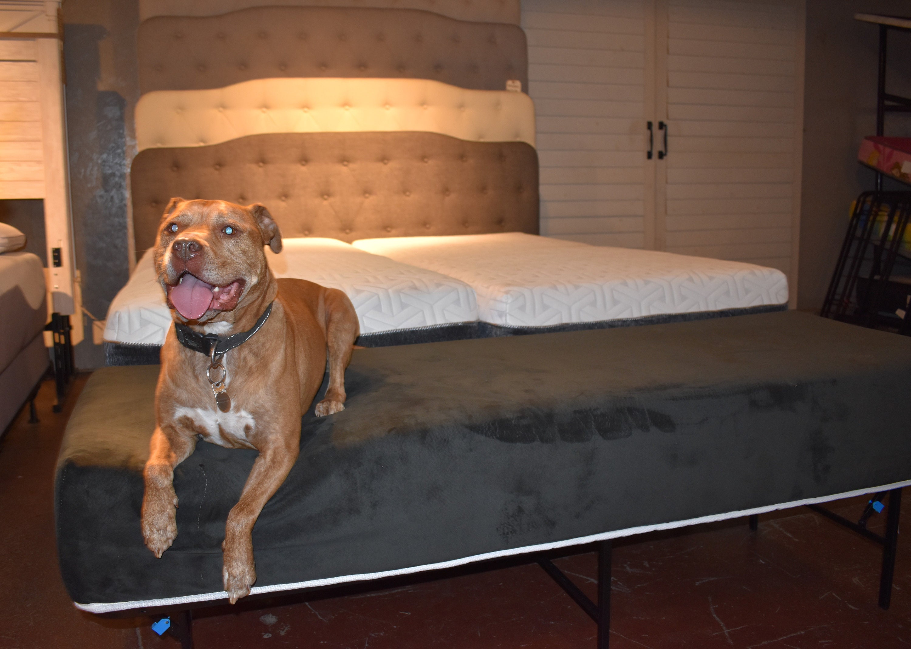 12 Dog Bed Mattress Extender Kit Dog Bed Extension of Human Mattress  Elevated Dog Bed 