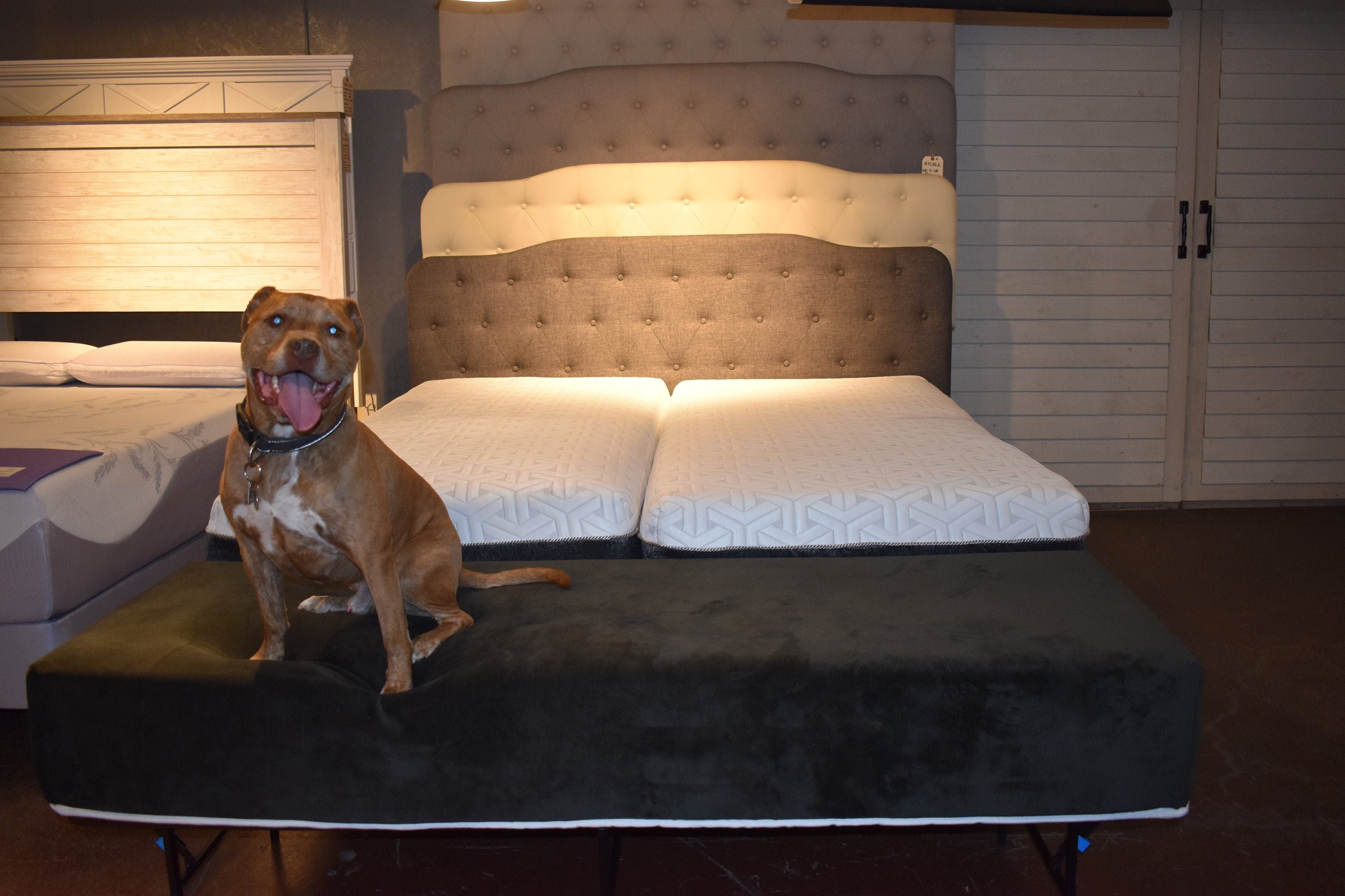 6 Dog Bed Mattress Extender Kit Dog Bed Extension of Human Mattress  Elevated Dog Bed 