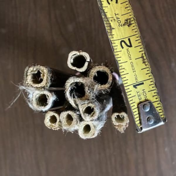 Native bee nesting tubes, bee nests, bee house, mason and leafcutter bees, certified organic, milkweed stems