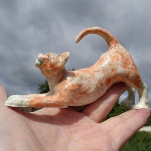 Stretching Ginger Cat