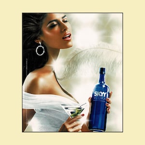 Skyy Vodka Decor - Etsy