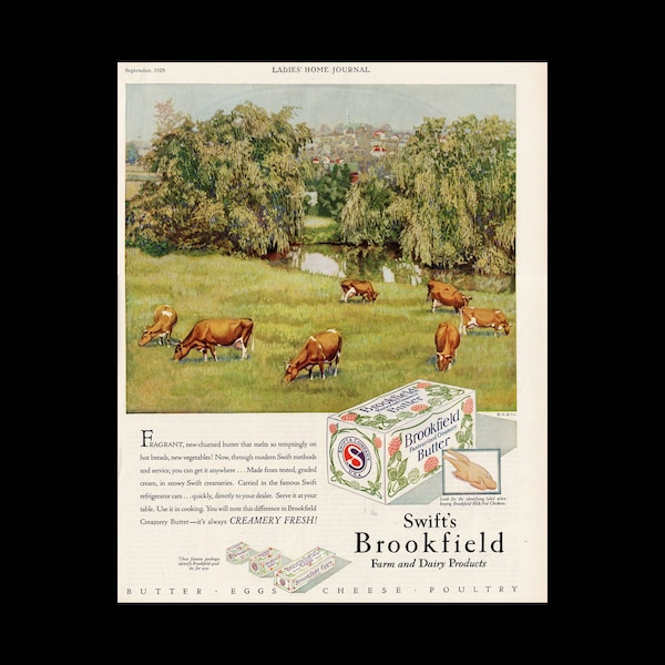 Original 1929 Swift's Brookfield "Creamery Fresh" Butter Magazine Ad, Field of Dairy Cows