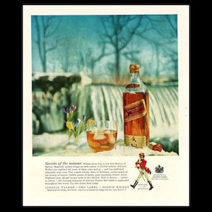 May include: A vintage advertisement for Johnnie Walker Red Label Scotch Whisky. The image features a bottle of whisky, a glass with ice, and a small bouquet of yellow and purple flowers. The background is a snowy winter scene with a waterfall and trees.