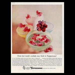 May include: Vintage advertisement featuring Tupperware containers holding water and orchids. The containers are in various pastel colors, with the text "Even last week's orchids stay fresh in Tupperware!" at the top.