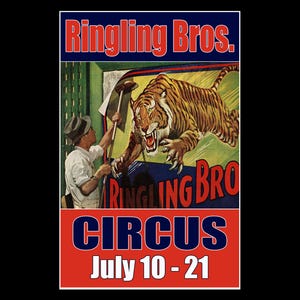 May include: Vintage Ringling Bros. Circus poster featuring a roaring tiger and a man holding a sign. The poster has a red, white, and blue color scheme with the text "Ringling Bros. Circus" and the dates "July 10-21".