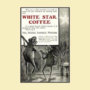 May include: Vintage advertisement for White Star Coffee. The black and white illustration features two anthropomorphic frogs playing musical instruments. Text includes "WHITE STAR COFFEE" and the phrases "Pure, Delicious, Economical, Wholesome".