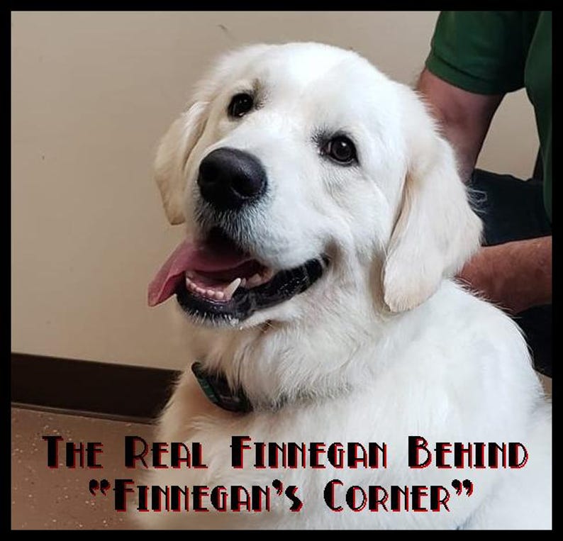 May include: A smiling, white Great Pyrenees dog with a black nose and pink tongue. The dog is wearing a collar and the text "THE REAL FINNEGAN BEHIND 'FINNEGAN'S CORNER'" is at the bottom of the image.