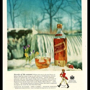 May include: A bottle of Johnnie Walker Red Label Scotch Whisky with a glass of ice and a man in a red coat walking with a cane. The background is a snowy landscape with trees and flowers.