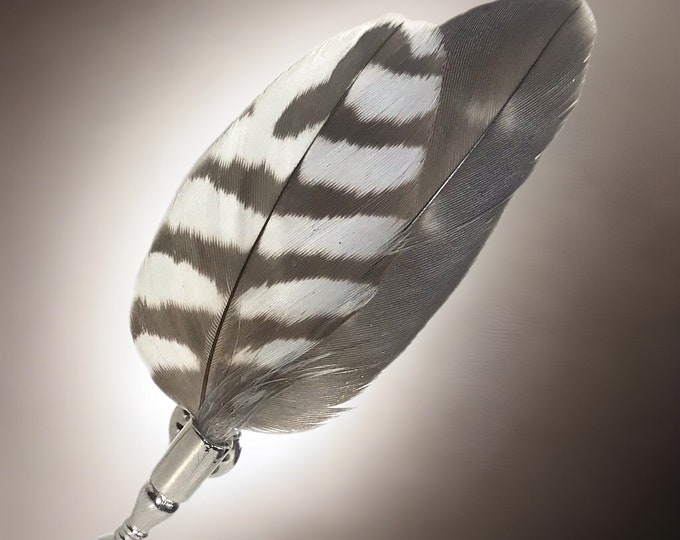 Peregrine and Kestrel Falcon Feather Lapel Pin
