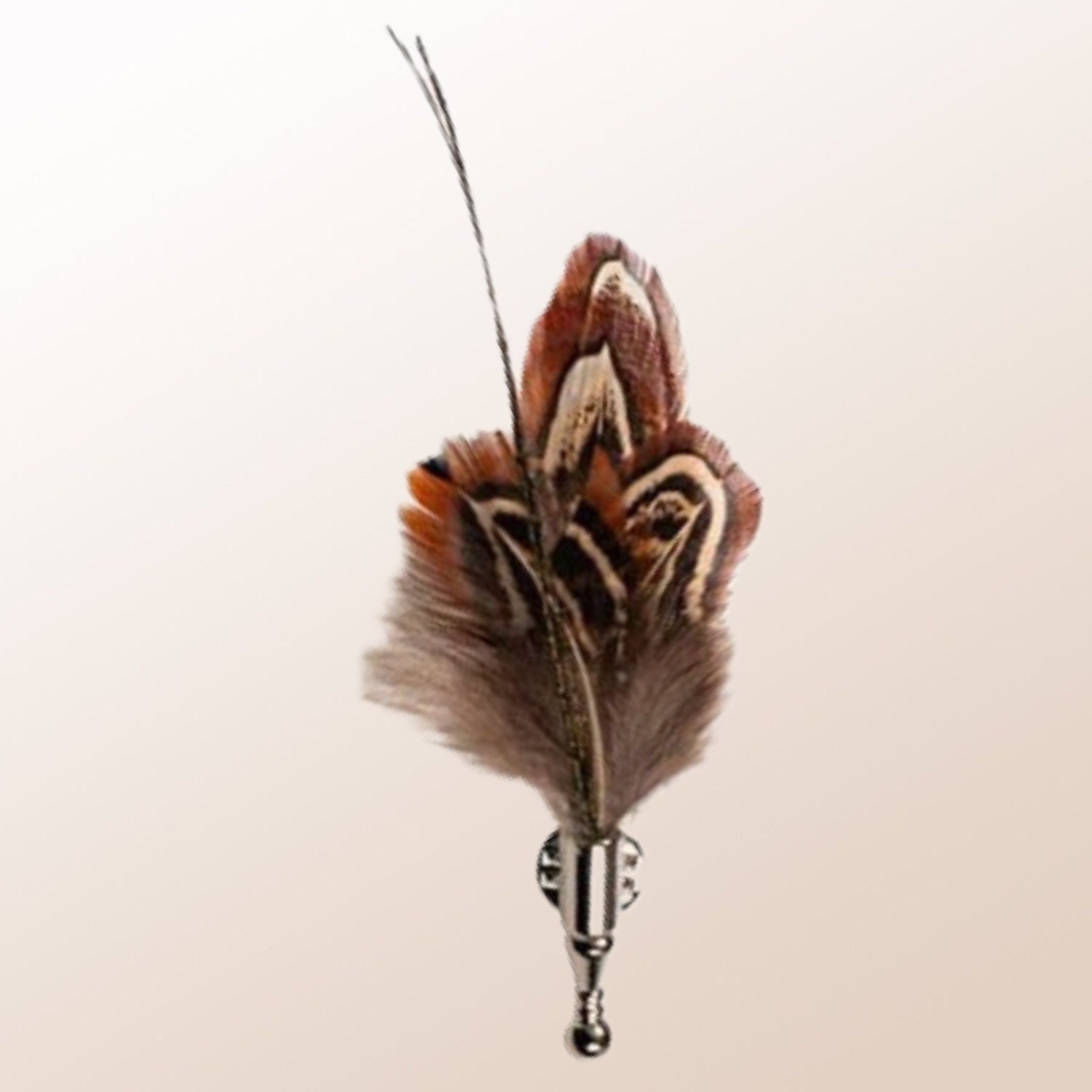 Brown Pheasant Feather 