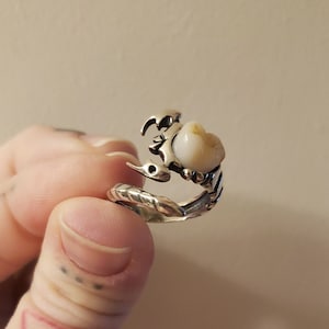 Dental rings for dogs new arrivals