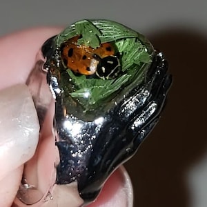 May include: A silver ring with a ladybird resting on green leaves, set in clear resin. The ring's band is shaped like hands. The ladybird has a red shell with black spots. The ring is a unique piece of jewellery.