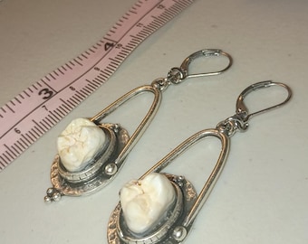 Carved FX human molar earrings
