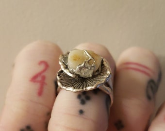 Solder cavity filling tooth ring on mushroom setting. Teeth ring. Molar ring.