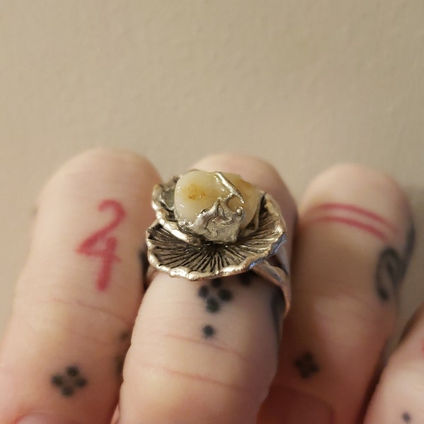 Tooth Ring Etsy