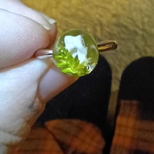 May include: A ring featuring a circular, clear resin cabochon set on a metallic band. Inside the resin, a small white tooth-shaped object is embedded alongside a bright green, fern-like botanical element, creating a distinct contrast.