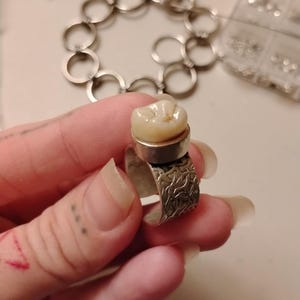 Acrylic handmade human molar on adjustable silver coated brass band. Costume jewelry.