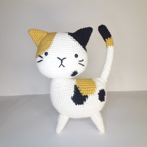 Gato