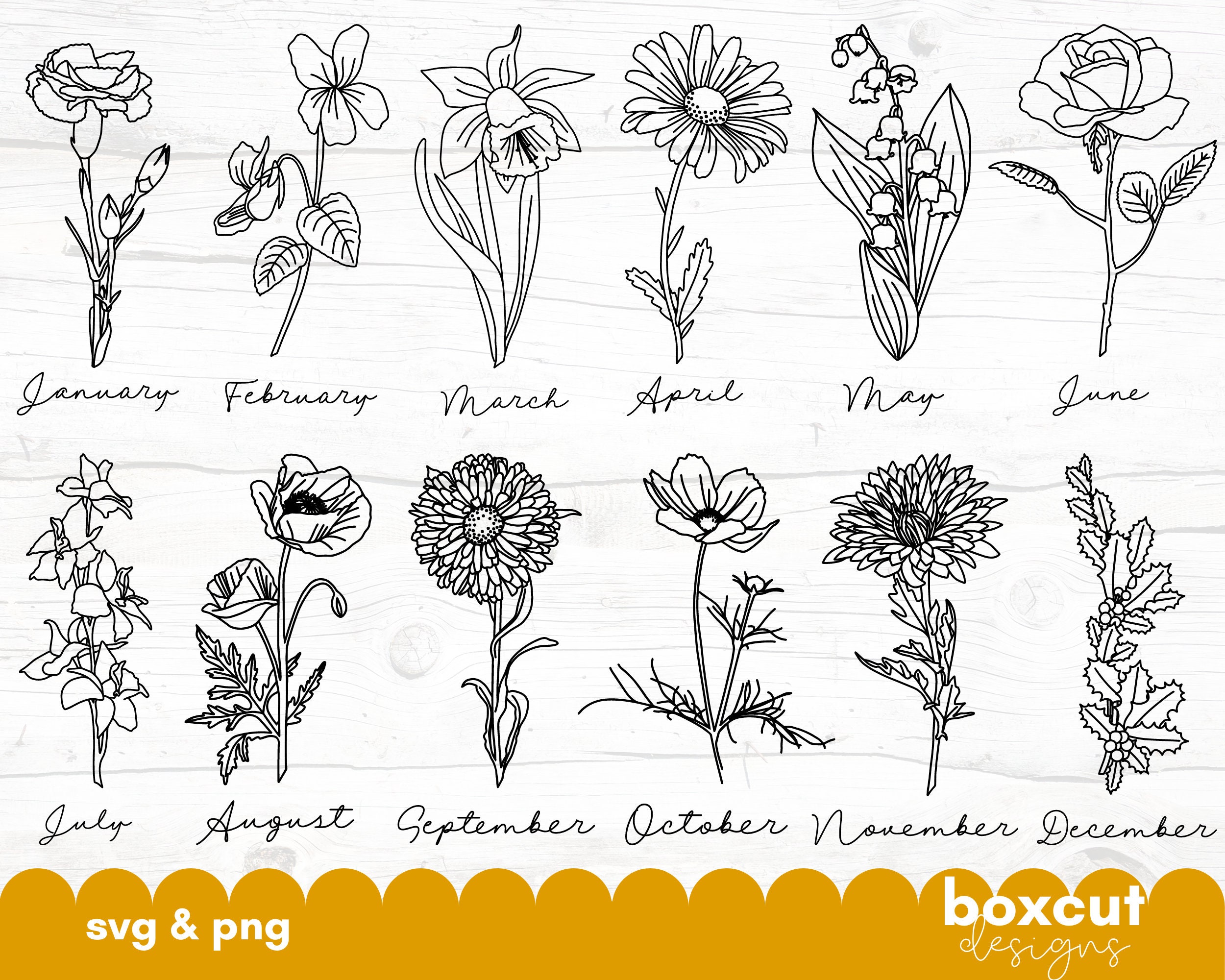 August Birth Flower SVG