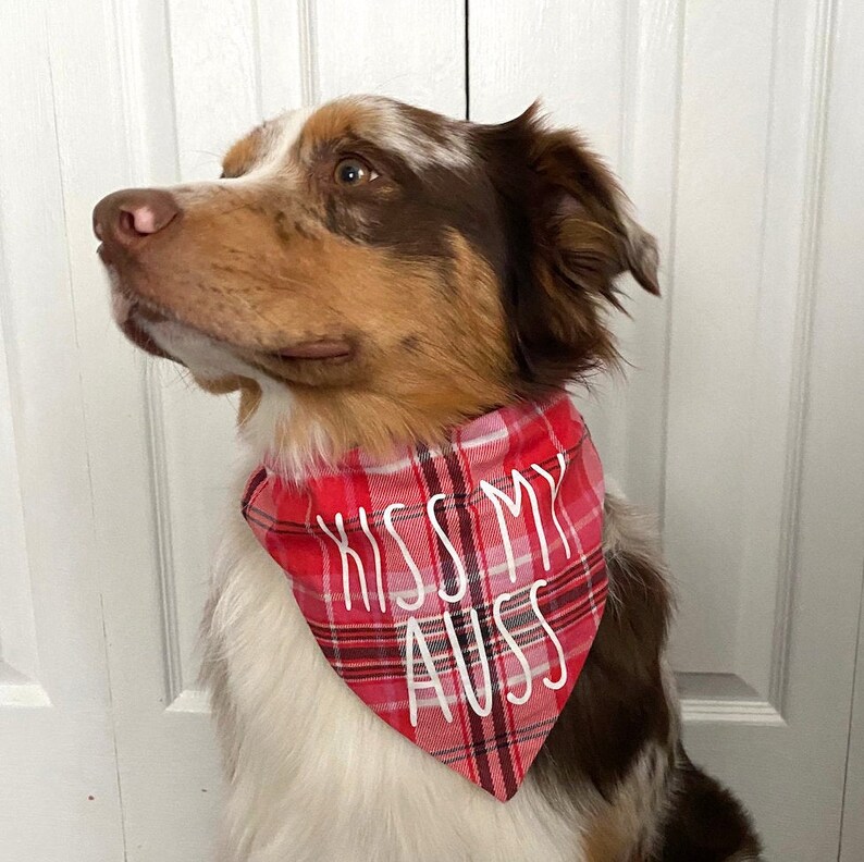 Kiss My Auss Customizable New font Handmade dog bandanna