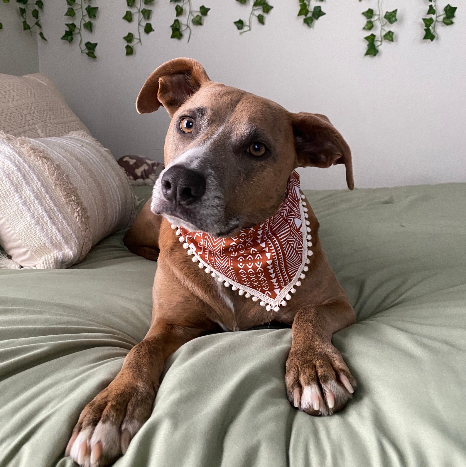 Orange Dog Bandana
 Aztec Orange Dog Bandana