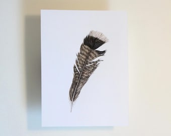Pluma de pavo n.° 1