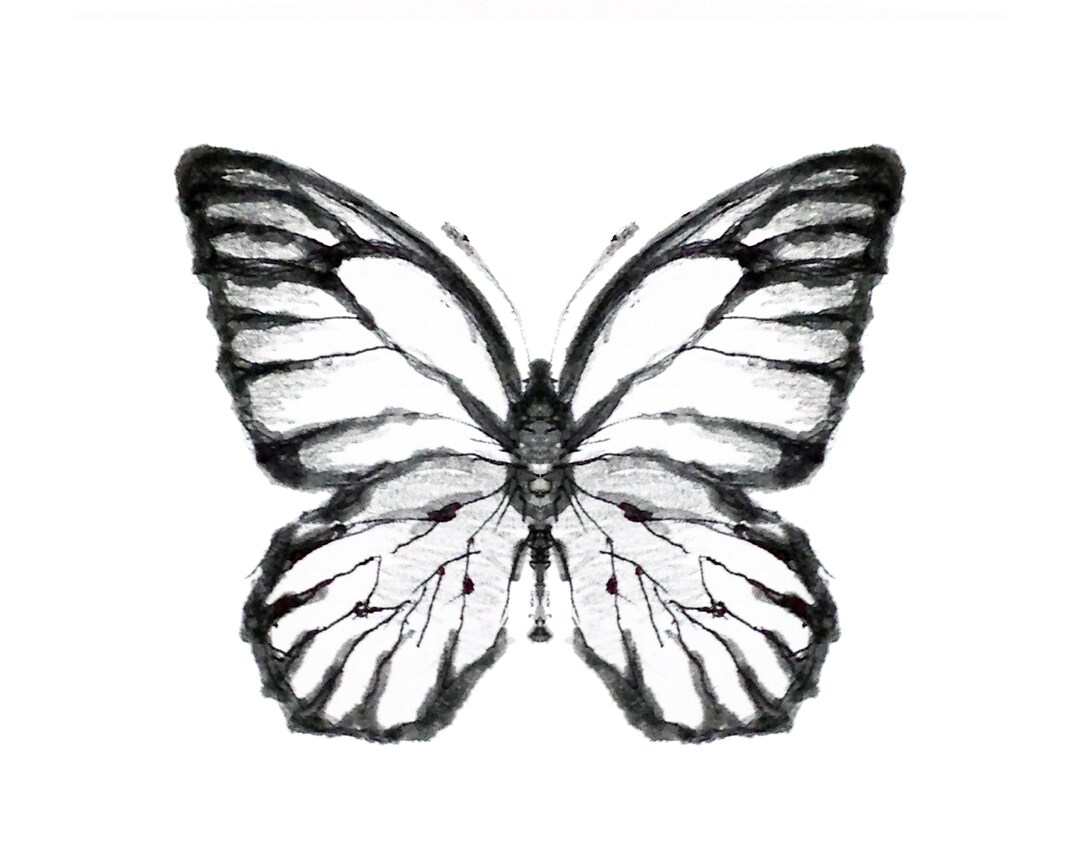 Printable Butterfly Wall Art - Etsy